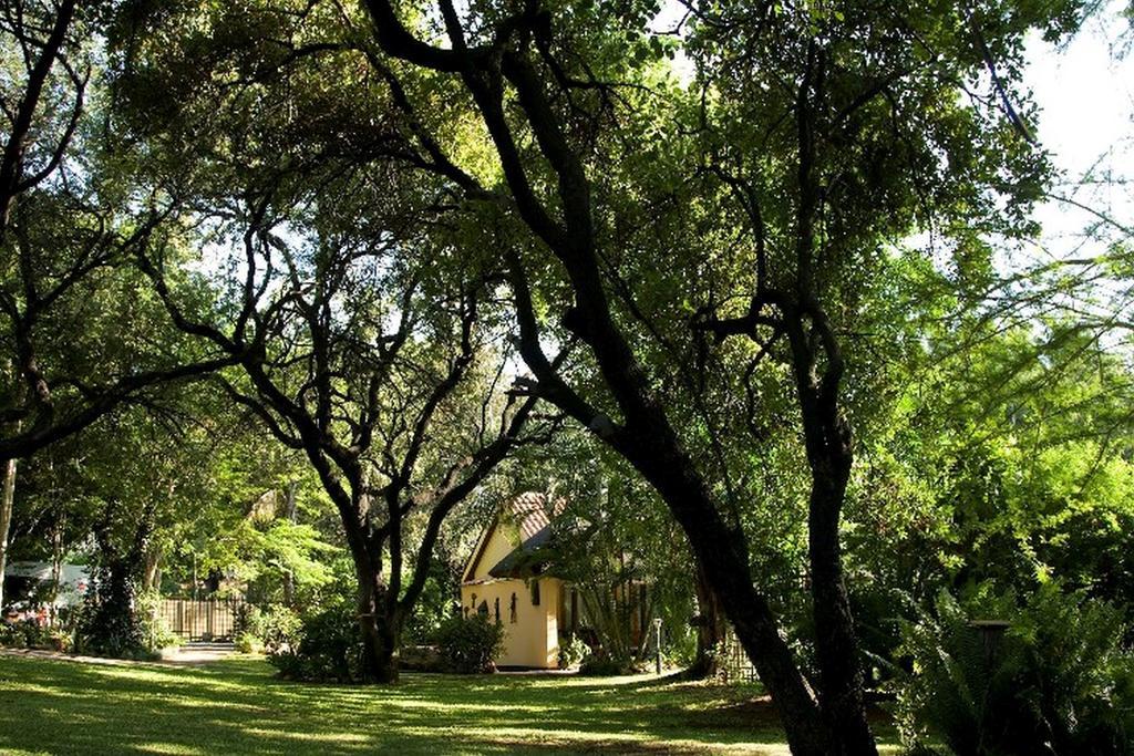 Sunbird Lodge Палаборва Екстериор снимка